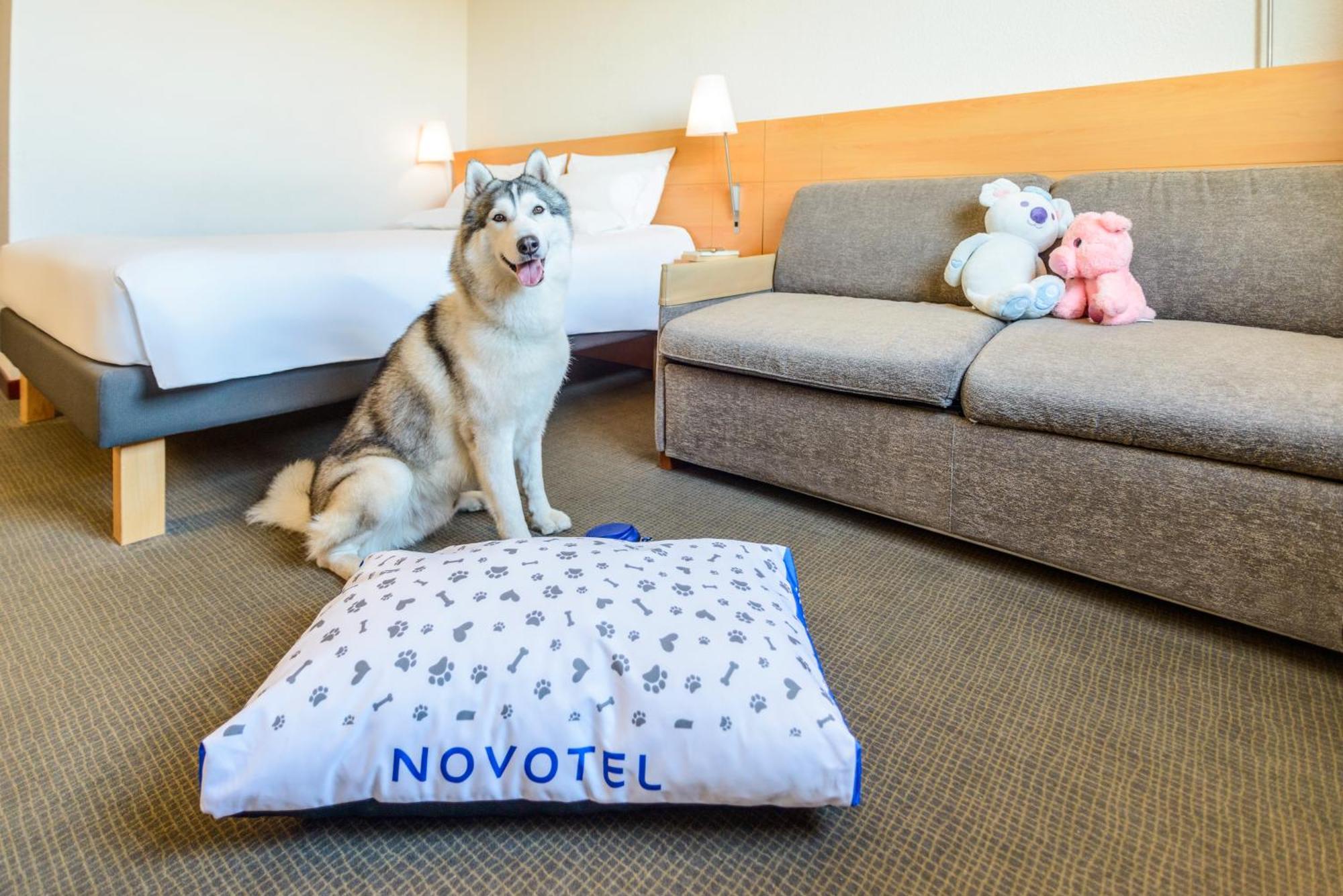 Hotel Novotel Corso Giulio Cesare 4*